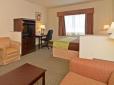 Best Western Plus La Grange Inn And Suites image 8